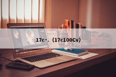 17c·.（17c100Cv）