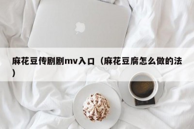 麻花豆传剧剧mv入口（麻花豆腐怎么做的法）