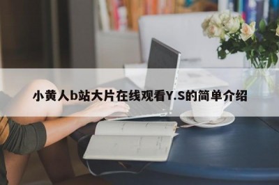 小黄人b站大片在线观看Y.S的简单介绍