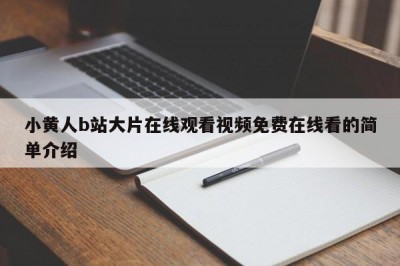 小黄人b站大片在线观看视频免费在线看的简单介绍
