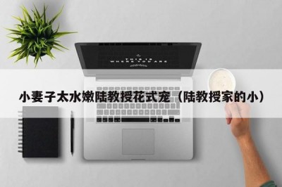 小妻子太水嫩陆教授花式宠（陆教授家的小）